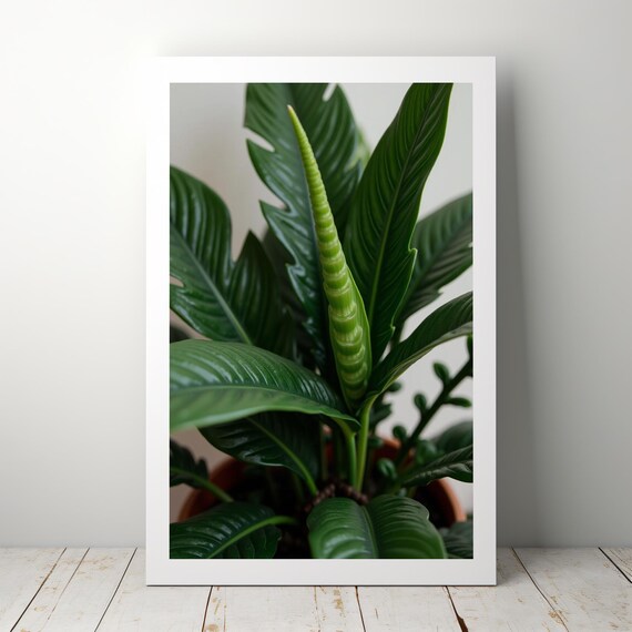 Zz Plant Print Minimalist Botanical Art Modern Green Home Decor