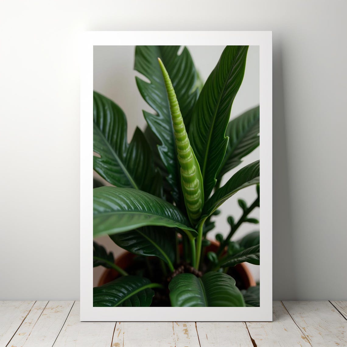 ZZ Plant Lush Green Leaves Botanical Minimalist Houseplant Photo Print