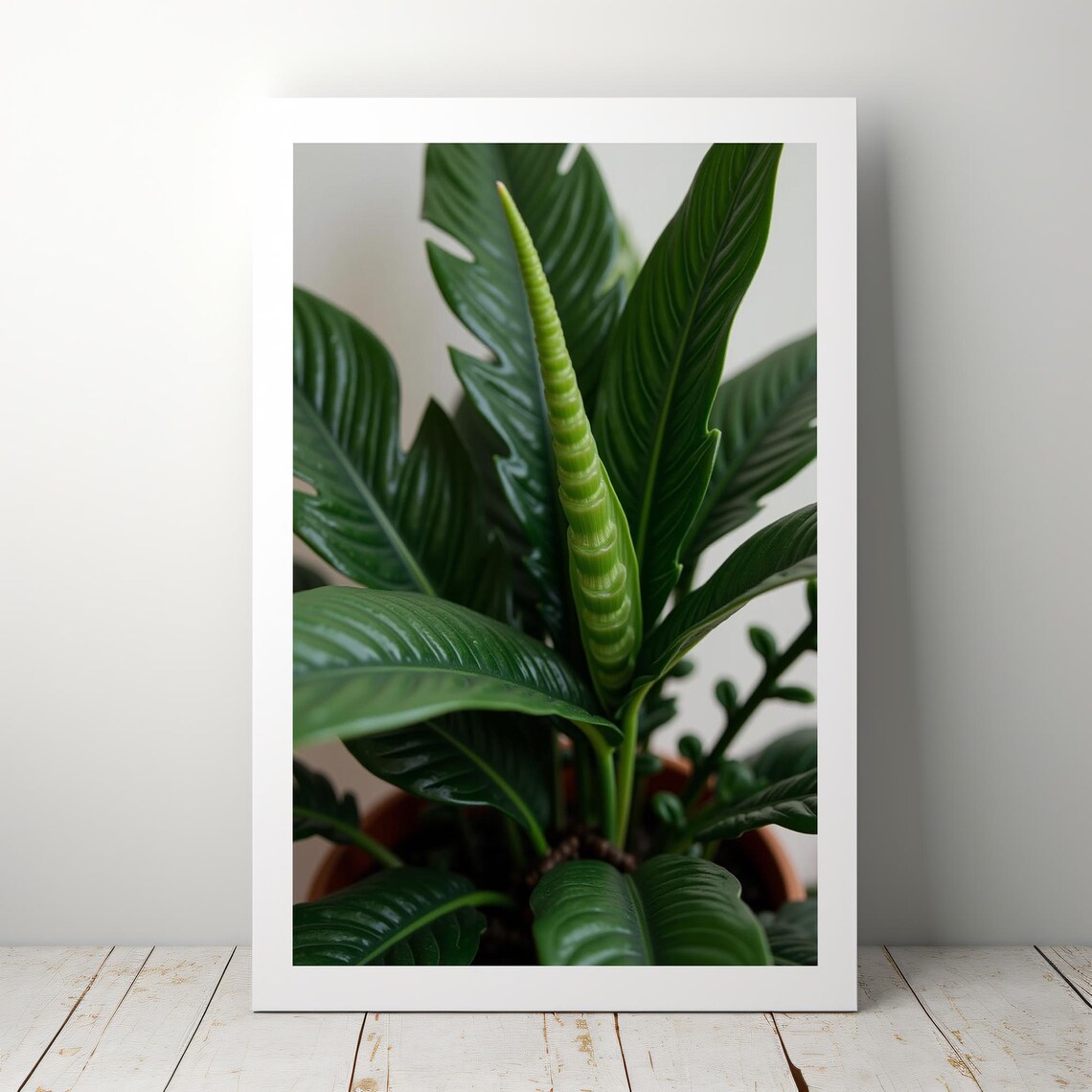 Zz Plant Print Minimalist Botanical Art Modern Green Home Decor