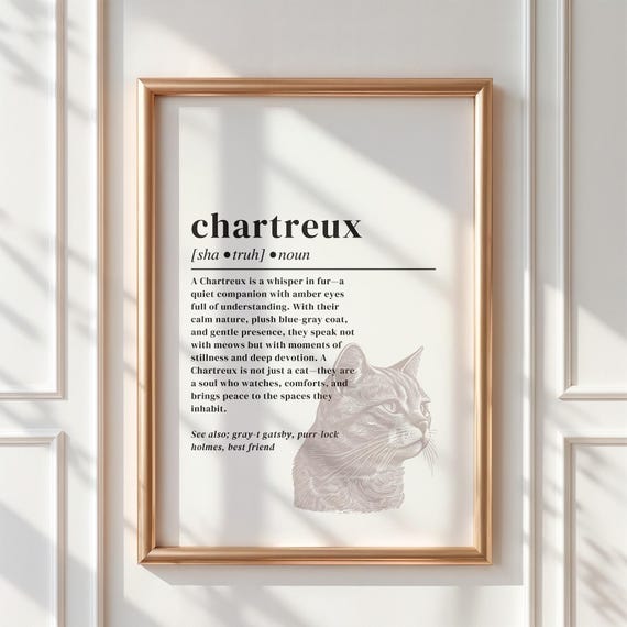 Chartreux Cat Definition Print French Blue Art