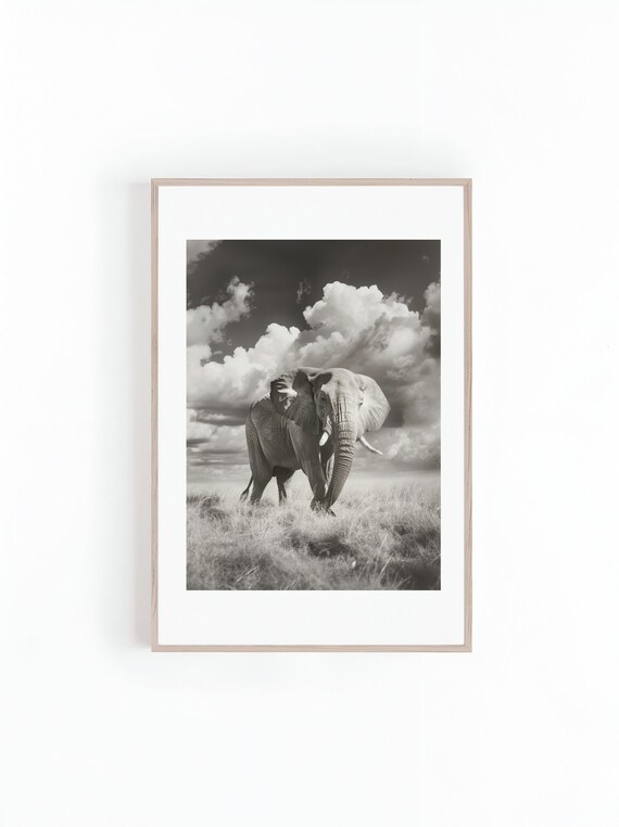 African Elephant Walking Under Dramatic Cloudy Sky Photo Poster