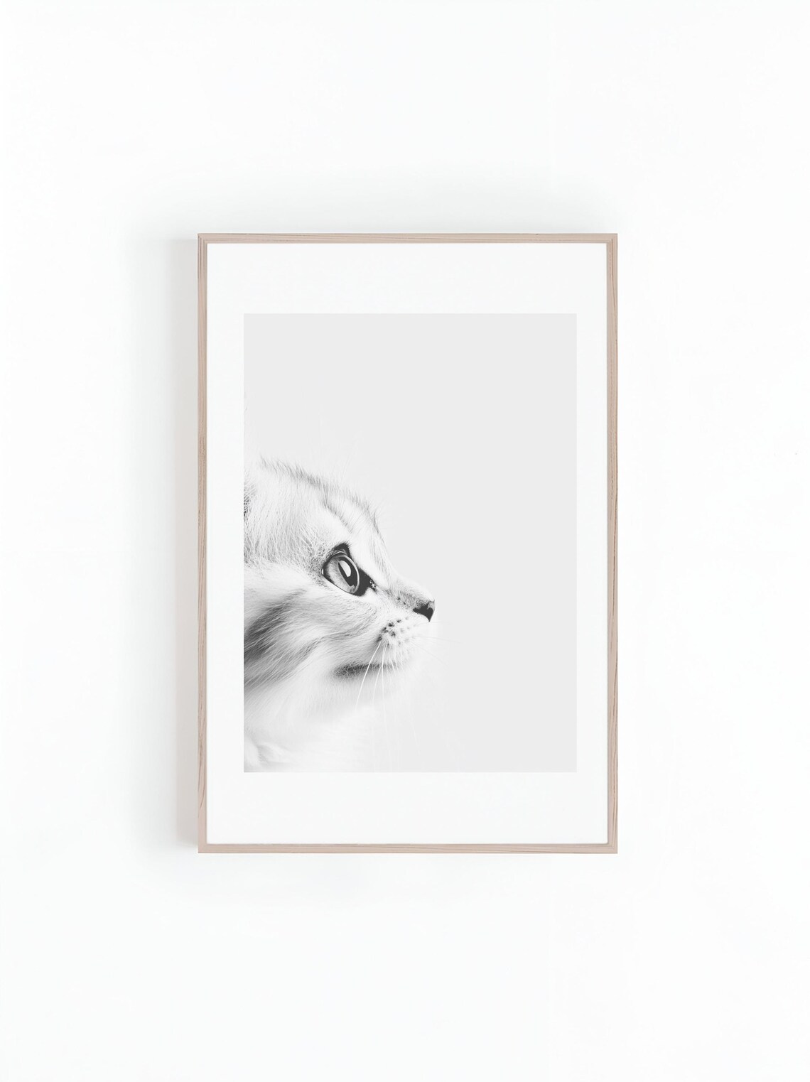 Kitten Looking Up in Profile in Minimal Black and White Poster