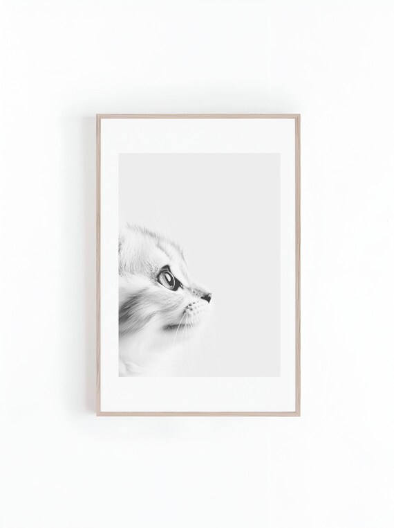 Kitten Looking Up in Profile in Minimal Black and White Poster