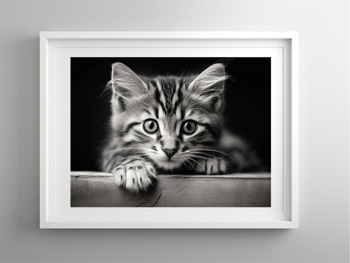Portrait Of Small Kitten Cat Lover Gifts Print Kitten Photo Wall Art Animal Poster Kitten Print Animal Art Instant