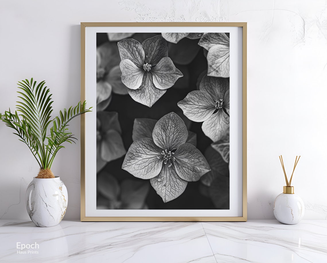 Poinsettia Flower Black And White, Floral Art Print
