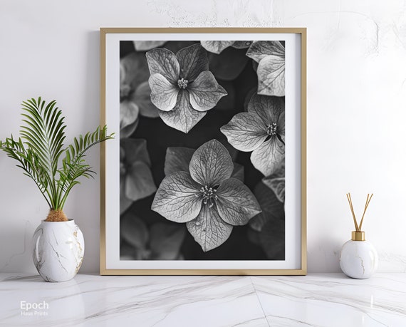 Poinsettia Flower Black And White, Floral Art Print