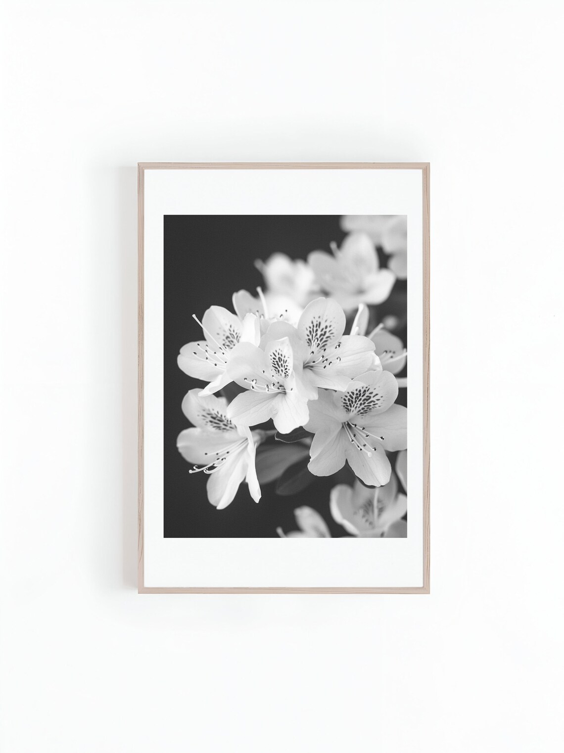 Azalea Flower Bunch Black And White Art Print
