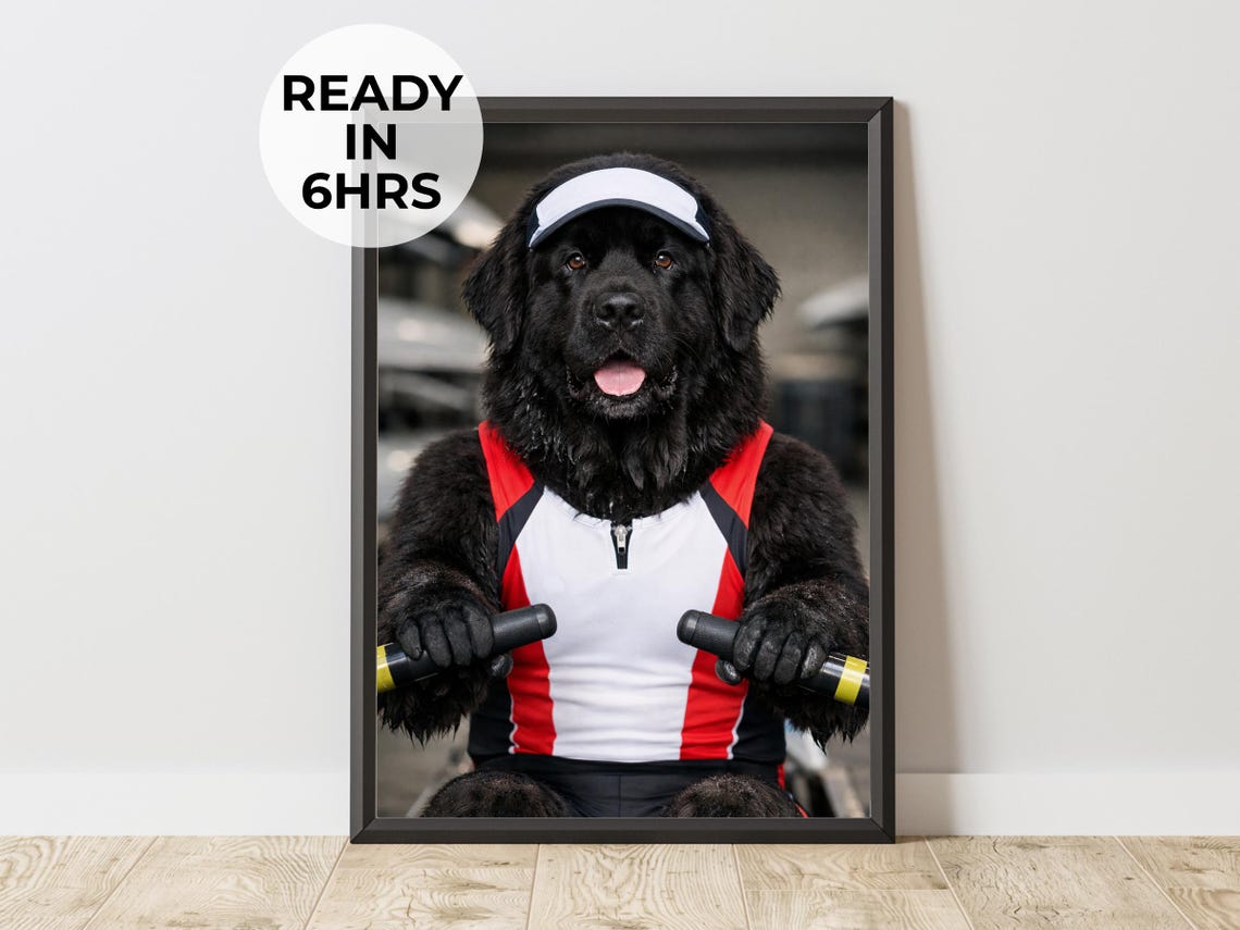 Custom Newfoundland Dog Portrait as a Rower Holding Oars Wall Art