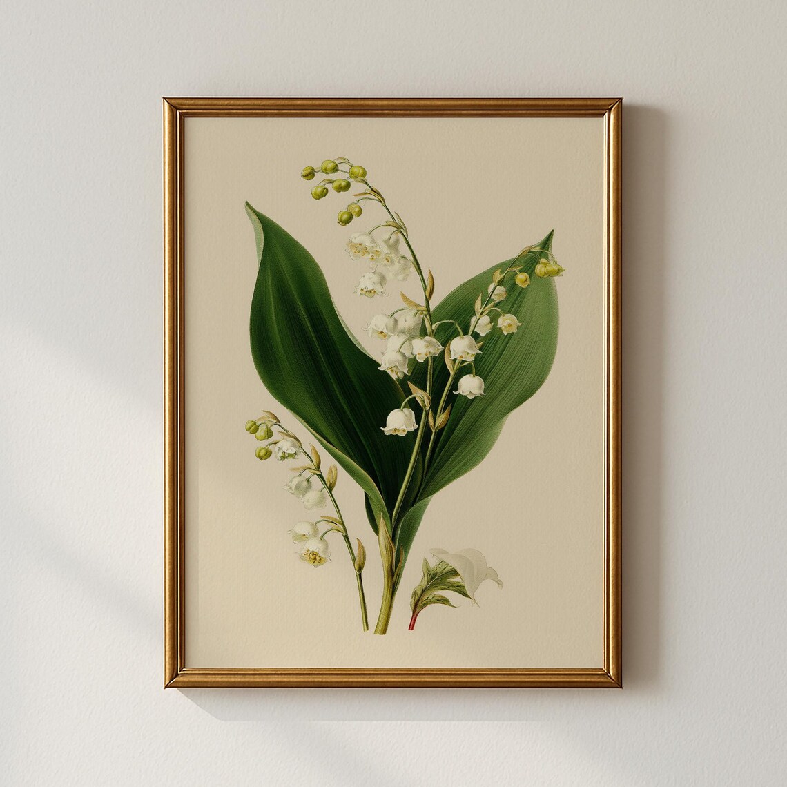 Vintage Spring Lily Print Botanical Bedroom Wall Art Collected Prints Cpp678