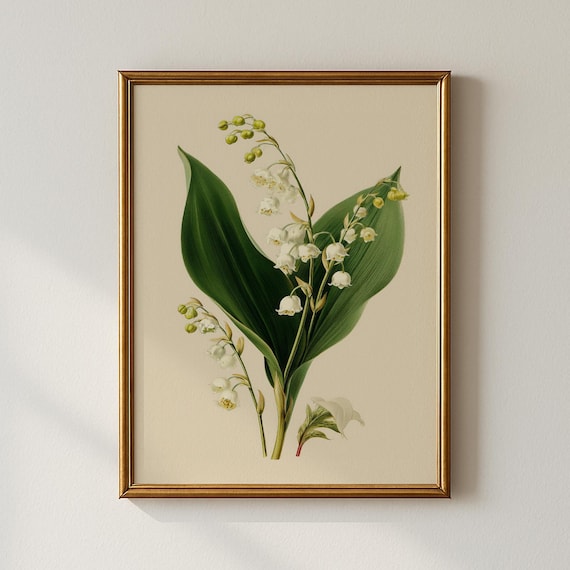 Vintage Lily of the Valley Botanical Print White Flowers Art