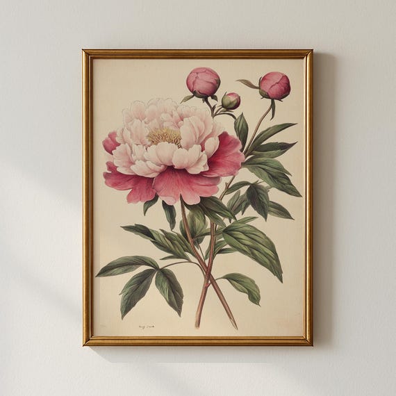 Vintage Peony Print, Floral Art Print