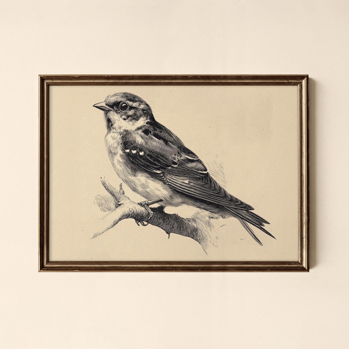 Vintage Swallow Sketch on Branch Antique Songbird Engraving Poster