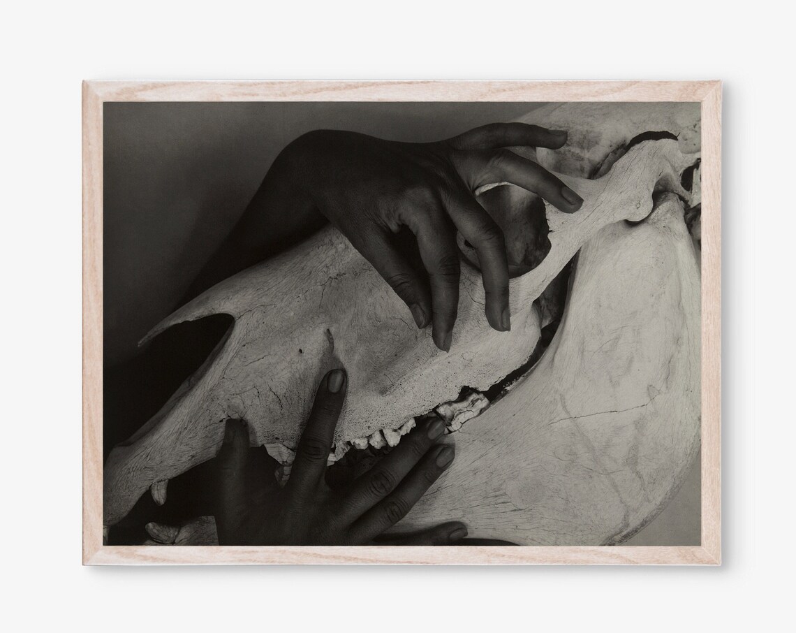 Alfred Stieglitz Hands And Horse Skull Vintage Photo Art Poster
