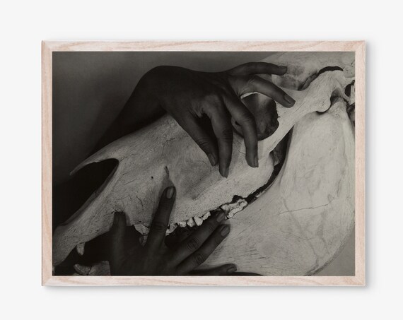 Alfred Stieglitz Hands And Horse Skull Vintage Photo Art Poster