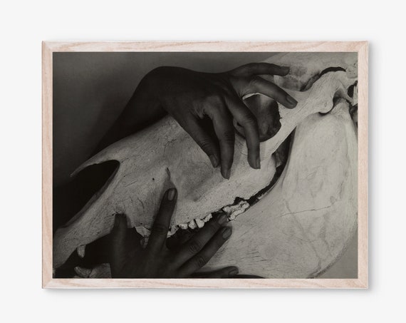 Stieglitz Poster Georgia Okeeffe Hands And Horse Skull Black White Photography Home Decor