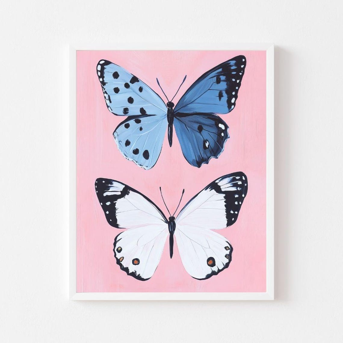 Blue And White Butterfly Pair On Pink Entomology Wall Poster