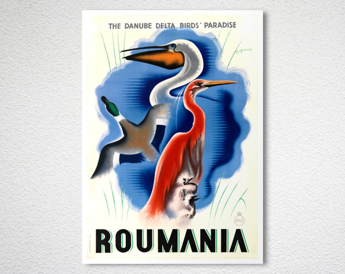 Roumania Danube Delta Birds Paradise Pelican Heron Travel Poster - Image 2