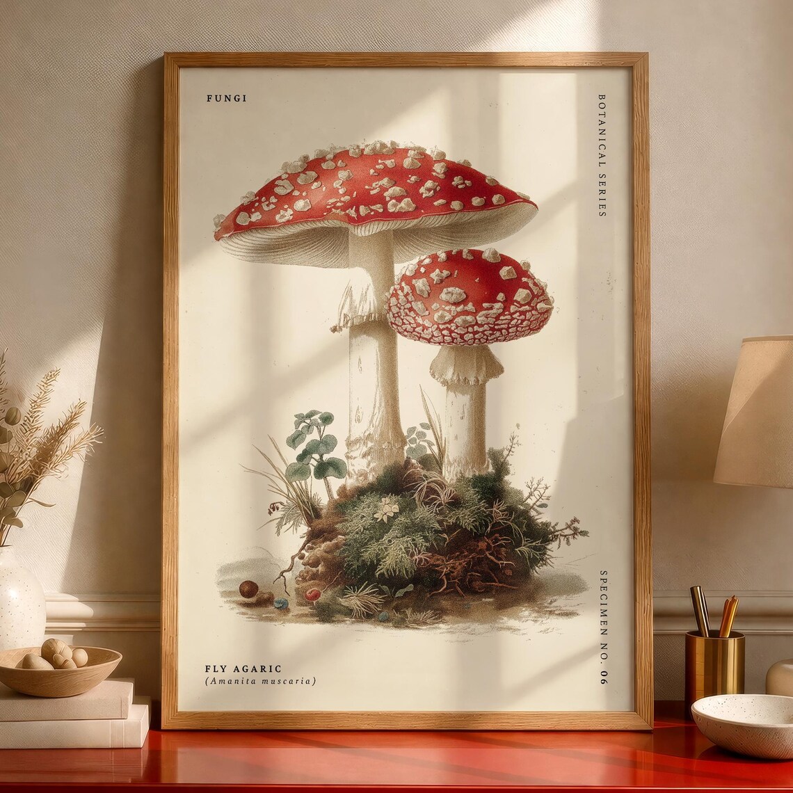 Fly Agaric Mushroom Vintage Botanical Fungi Specimen Art Poster