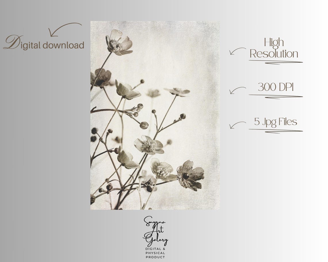 Vintage Sepia Wildflowers Rustic Botanical Photo Style Print