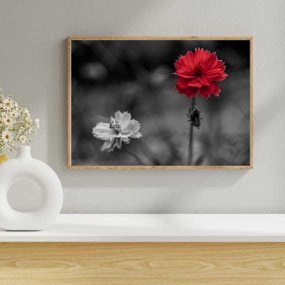 Red Flower Wall Art Minimalist Floral Photography Print Black And White Botanical Poster For Modern Decor Clove