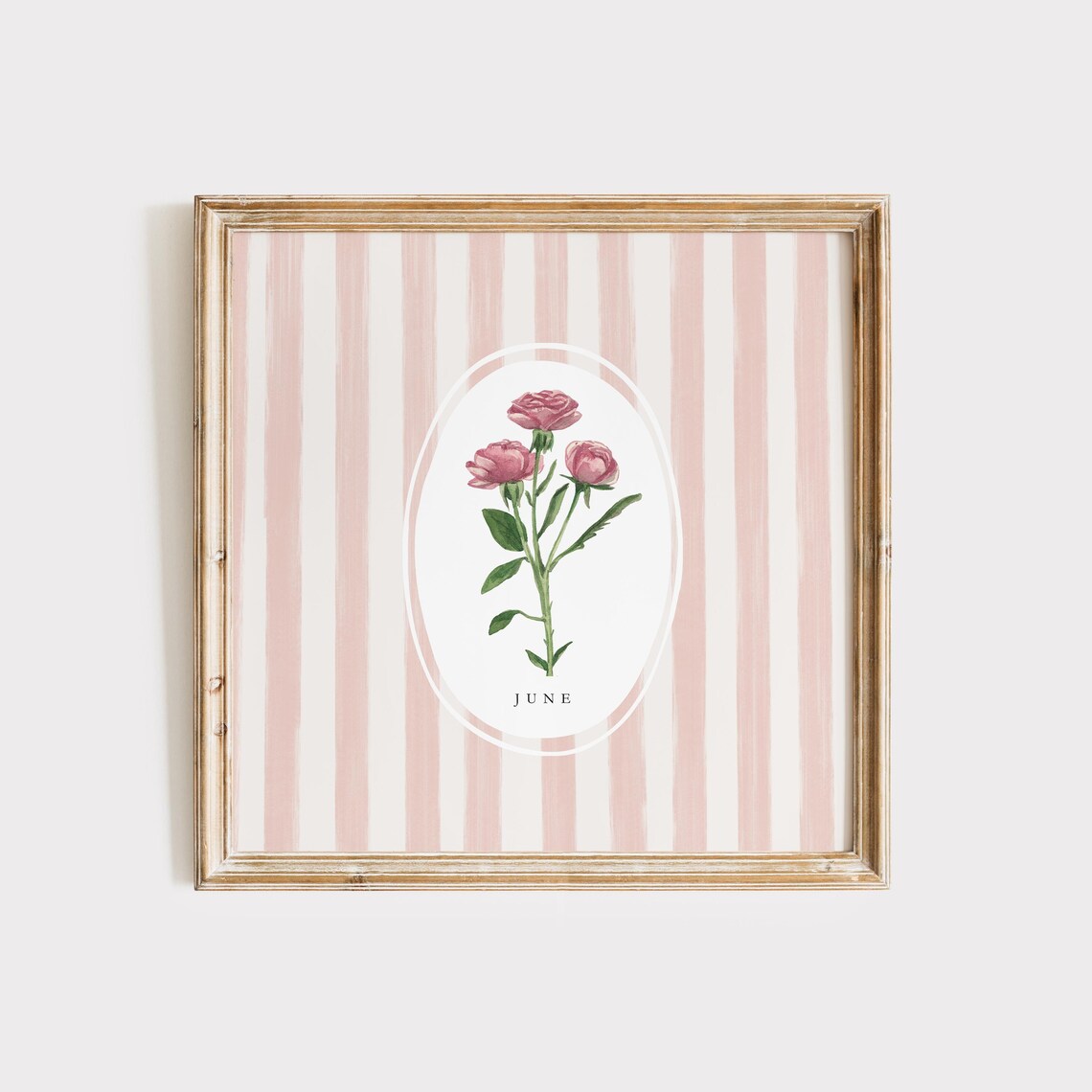June Rose Birth Flower Pink Blossom Striped Botanical Art Poster