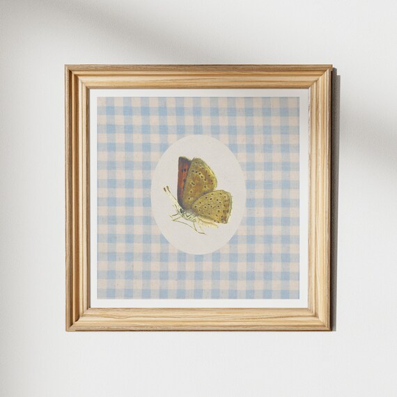Vintage Butterfly Oval Illustration Gingham Blue Nursery Art Poster