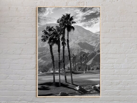 Palm Springs California Palm Trees Golf Course Mountains Photo Poster