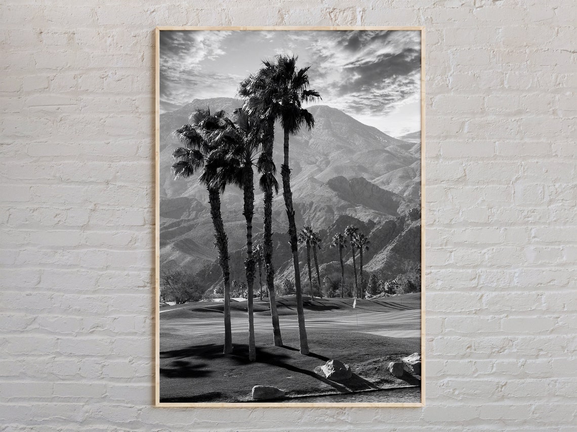 Palm Springs California Palm Trees Golf Course Mountains Photo Poster