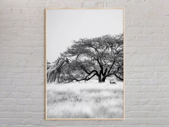 Black And White Somalia Print Wall Art Poster Photo Decor Africa