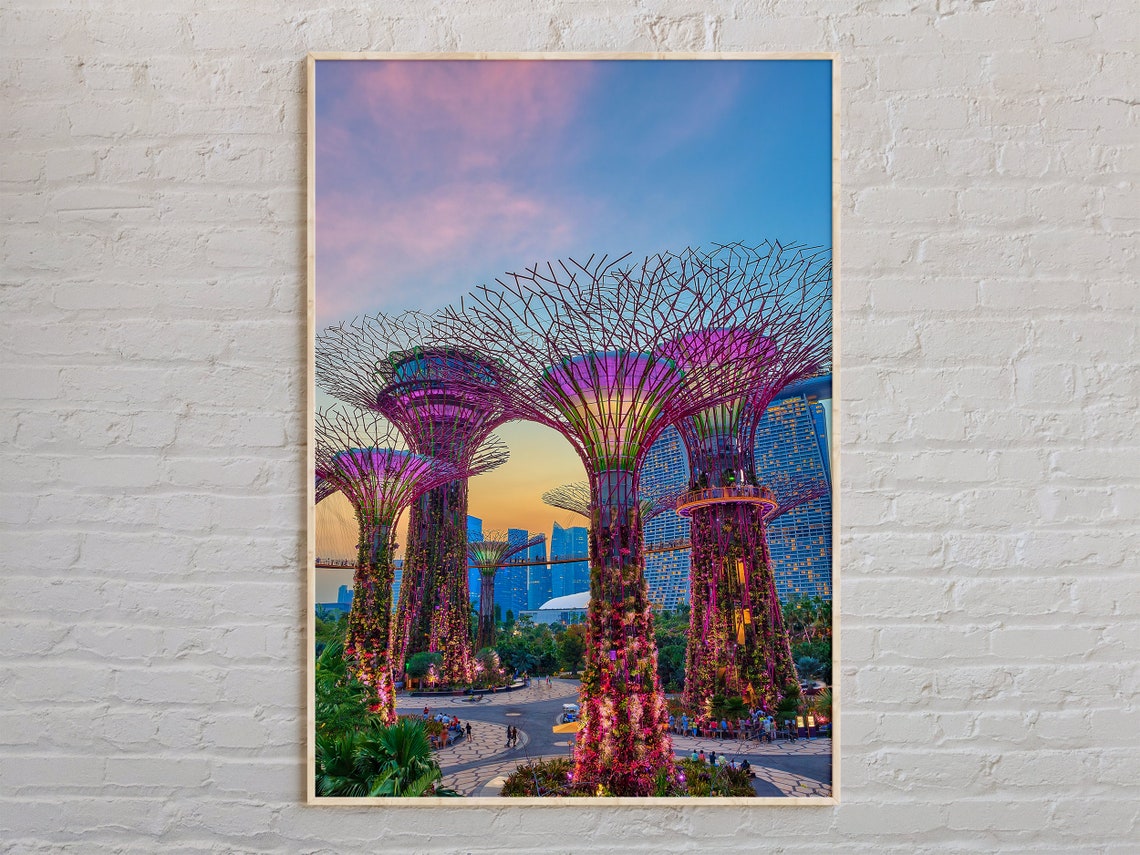 Singapore Supertree Grove Gardens by the Bay Sunset Photo Poster