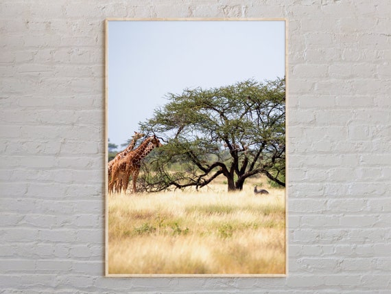 Real Photo Somalia Print Wall Art Poster Decor Africa