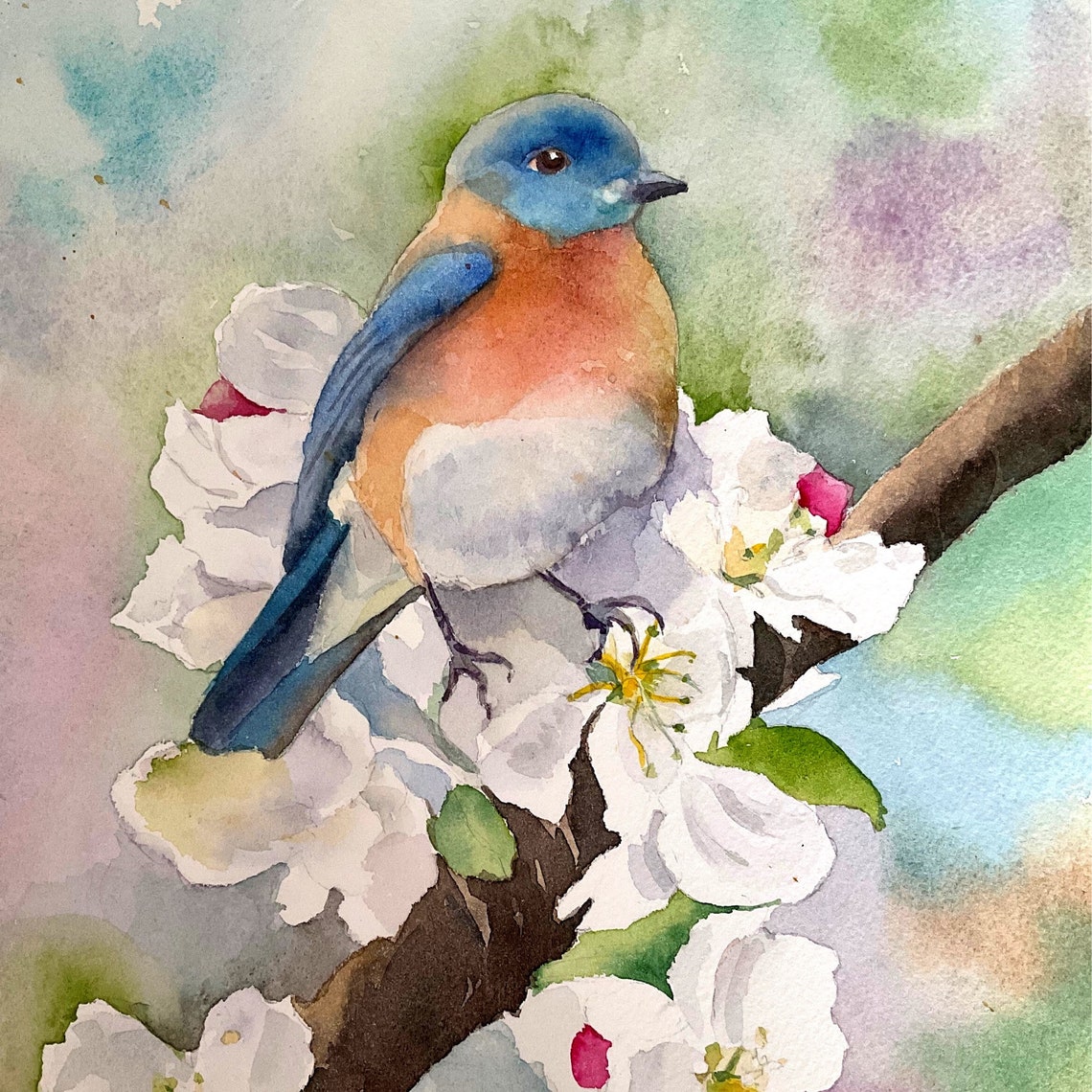 Eastern Bluebird Perched on a Blossoming Branch in Watercolor Poster - Image 2