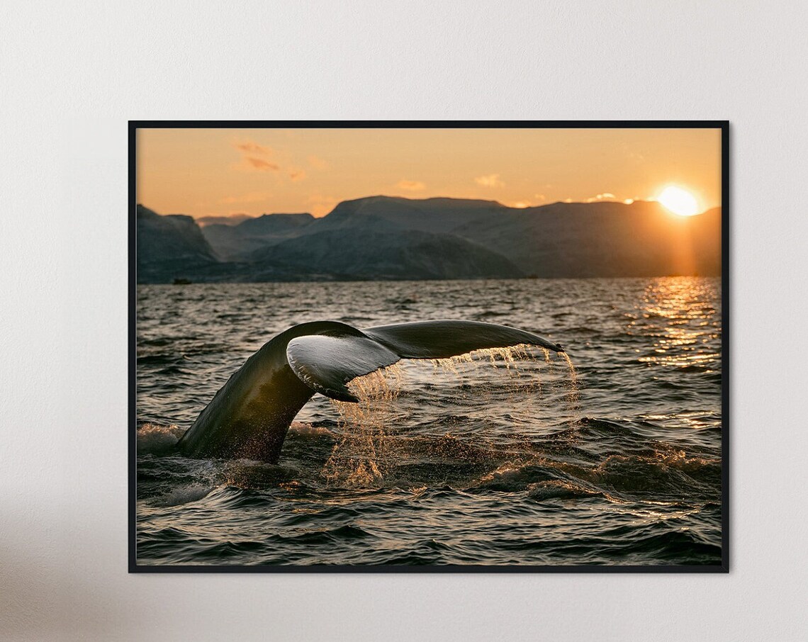 Whale Tail Sunset Ocean Print Nautical Wall Art File