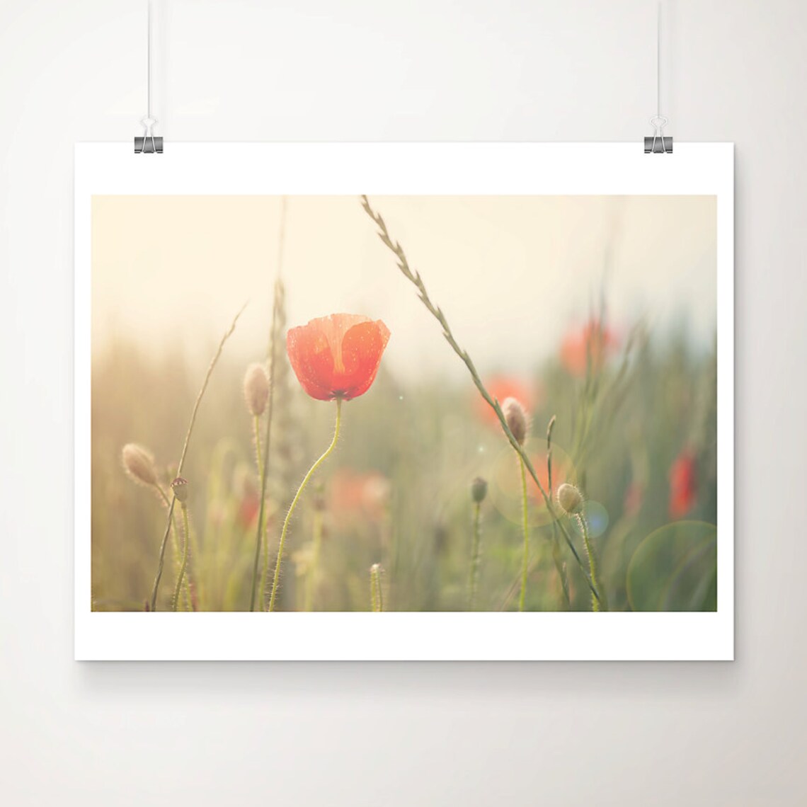 Single Red Poppy In Sunlit Meadow Dreamy Nature Photo Poster