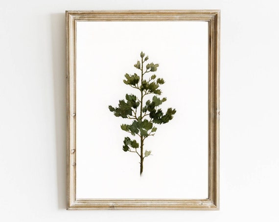 Pine Tree Watercolor Art Print, Minimalist Winter Forest