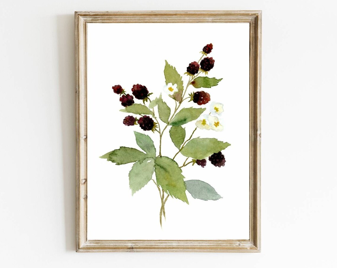 Blackberry Watercolor Botanical Garden Art Print