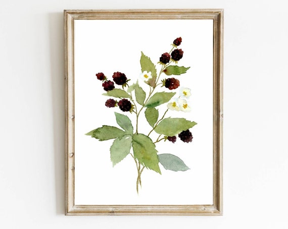 Blackberry Watercolor Botanical Garden Art Print