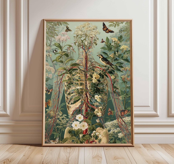 Human Anatomy Poster Body Posters Wall Prints Educational Medical Print Doctor Office Decor Vintage Style