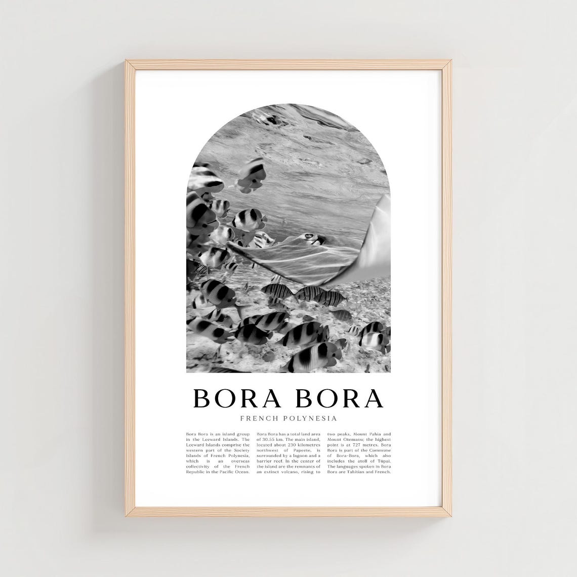 Bora Bora French Polynesia Tropical Fish Black And White Photo Poster