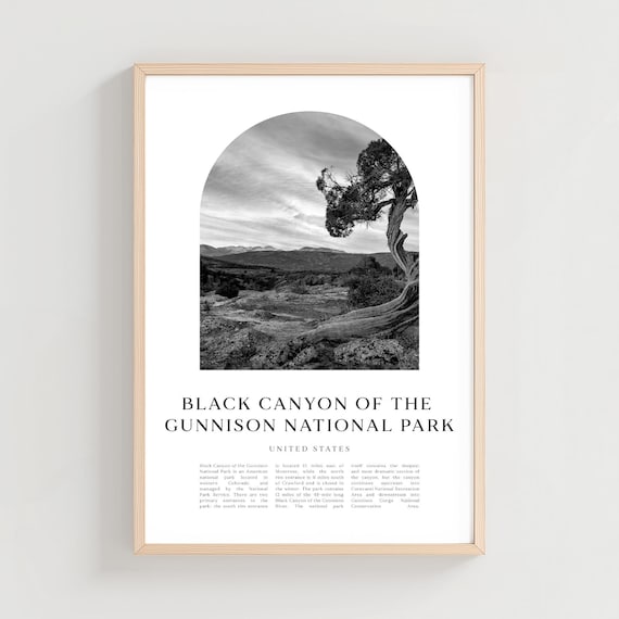 Black Canyon Of The Gunnison Juniper Minimalist Travel Poster