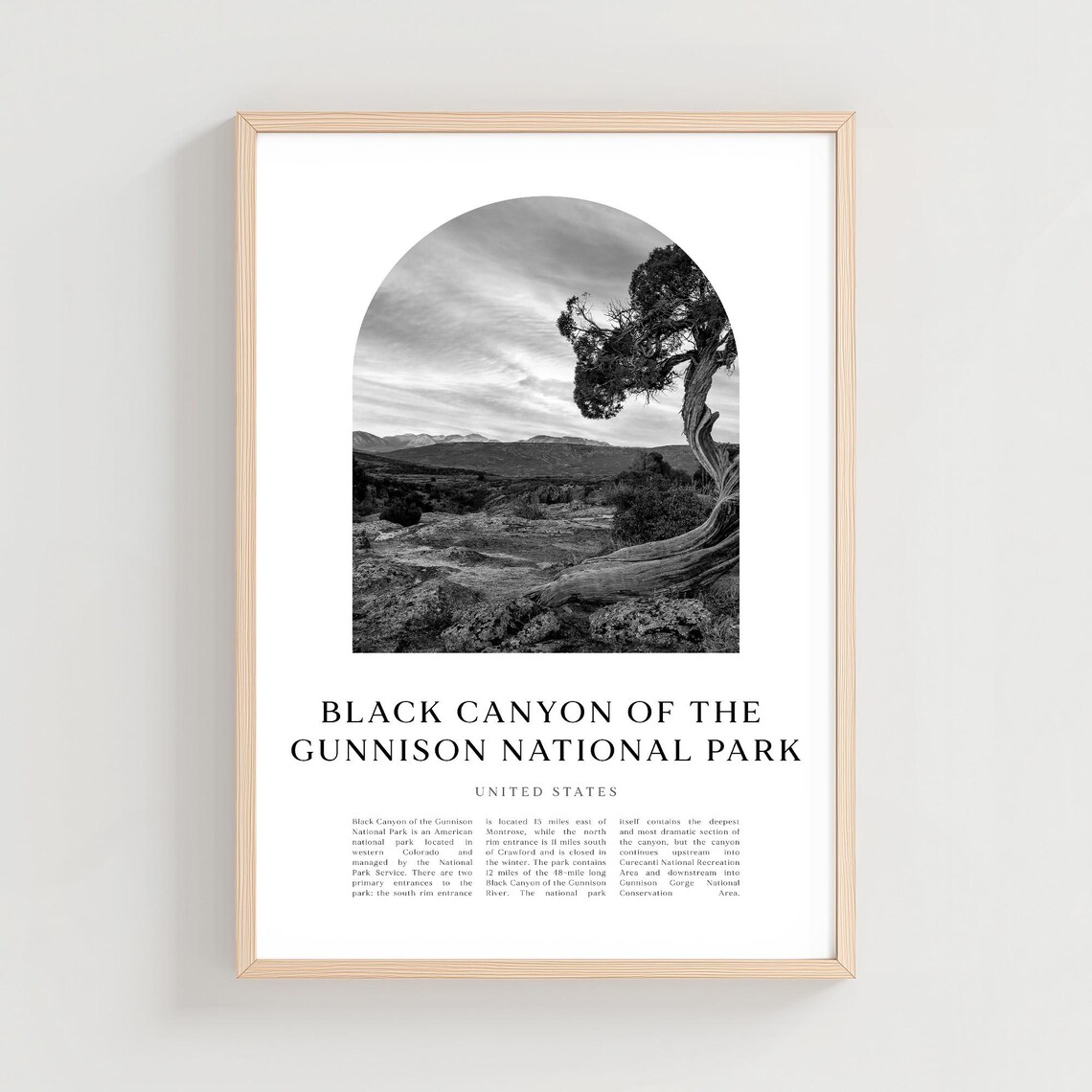 Black Canyon Of The Gunnison Juniper Minimalist Travel Poster