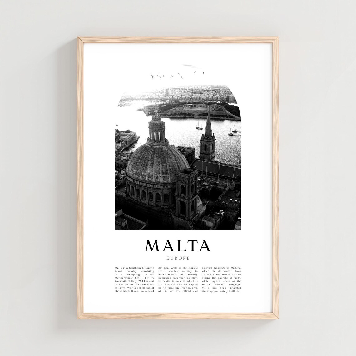 Malta Europe Domed Cathedral Harbour Aerial View Photo Poster