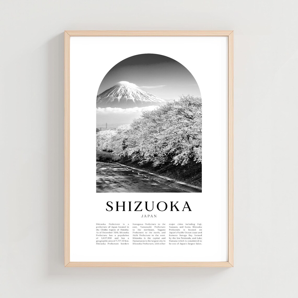 Shizuoka Japan Mount Fuji Cherry Blossom Arch Photo Art Poster