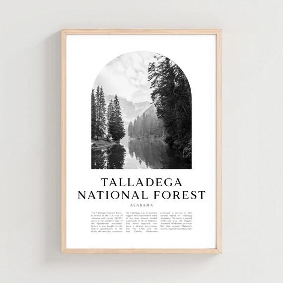 Talladega National Forest Lake Pines Arch Vintage Photo Poster