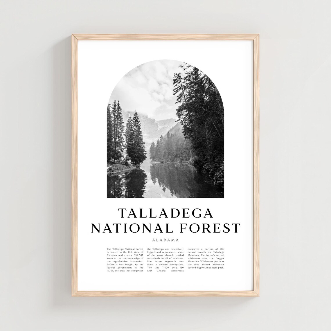 Talladega National Forest Lake Pines Arch Vintage Photo Poster