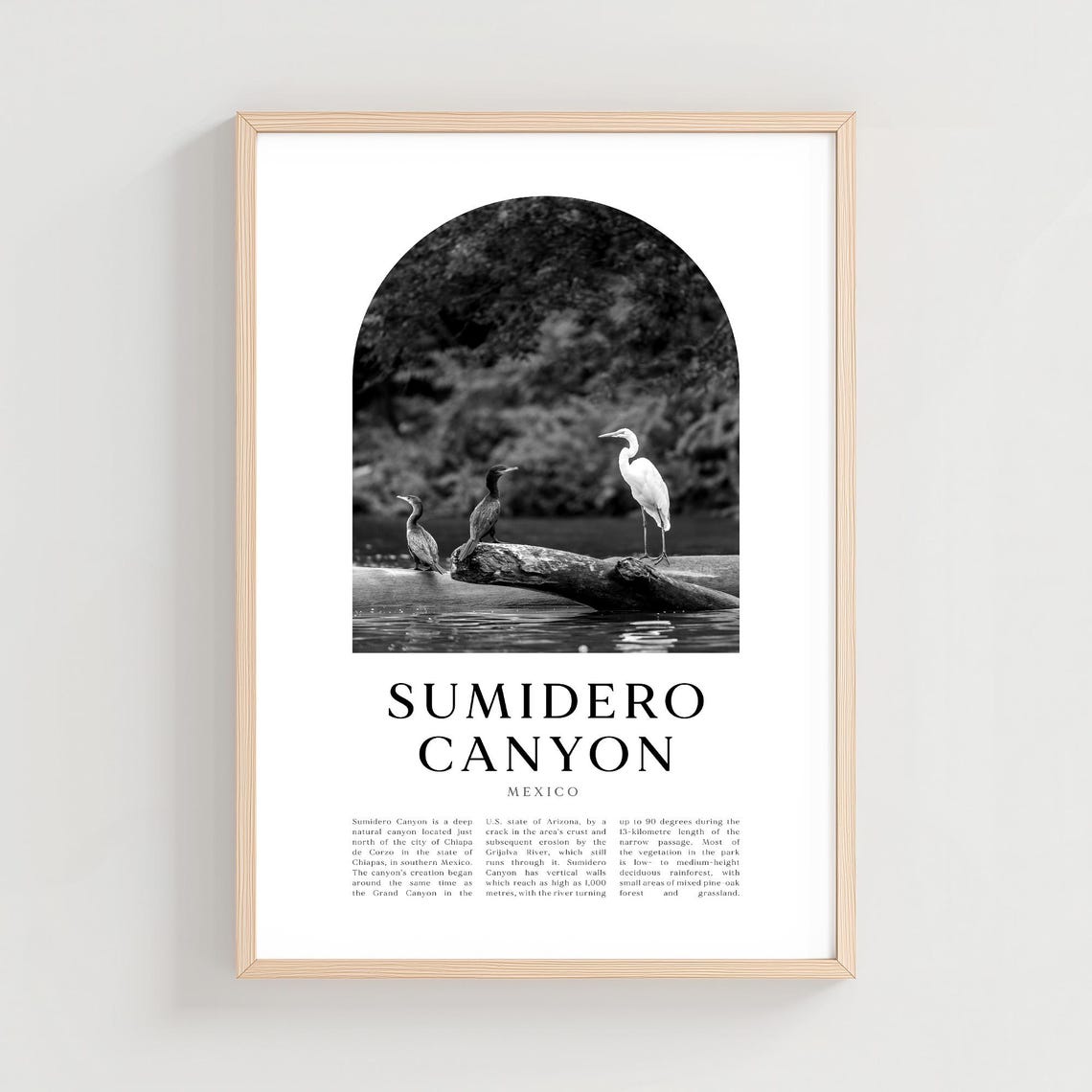 Sumidero Canyon Mexico Heron Wildlife Black and White Travel Poster
