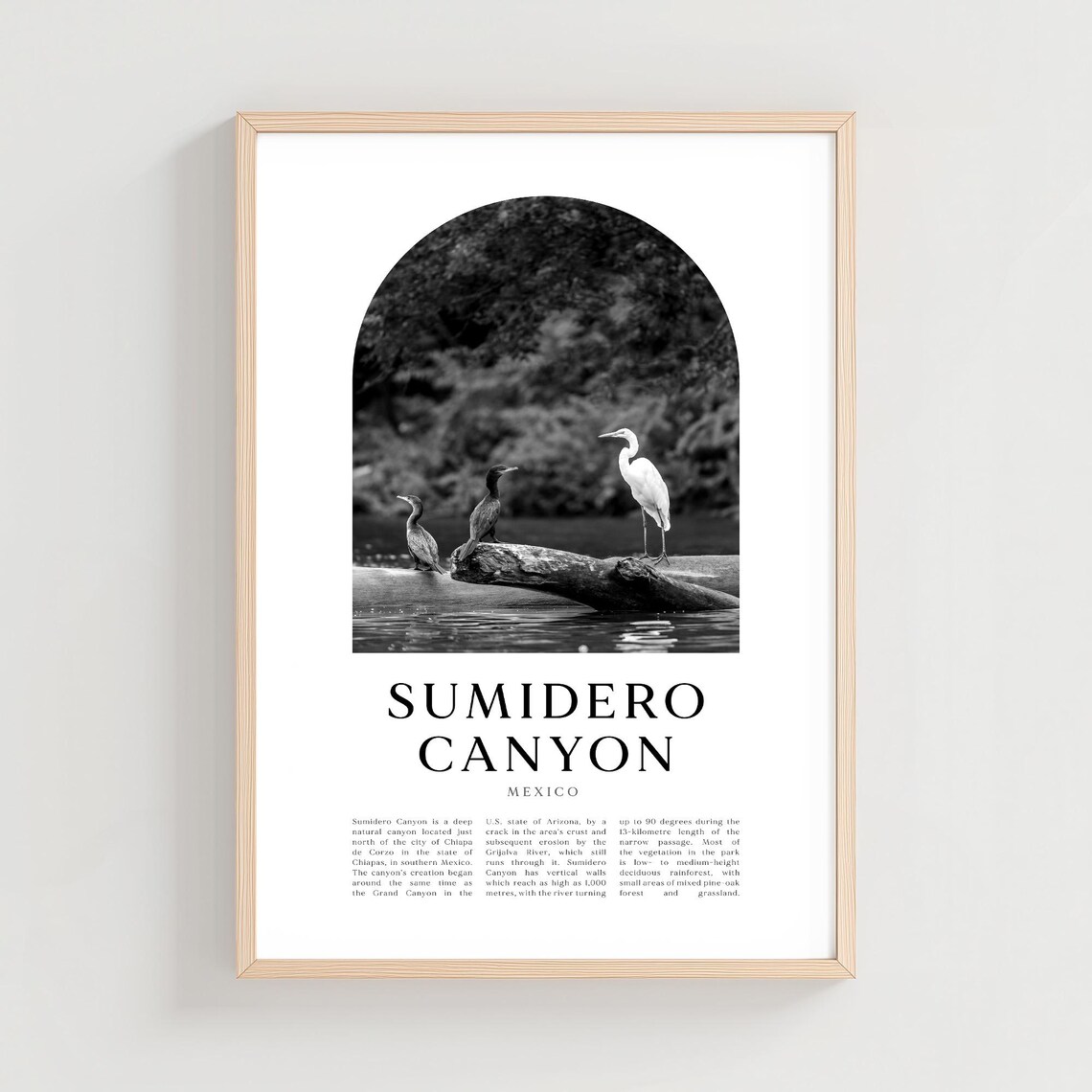Sumidero Canyon Travel Poster Print Wall Art Mexico City Decor Na232m