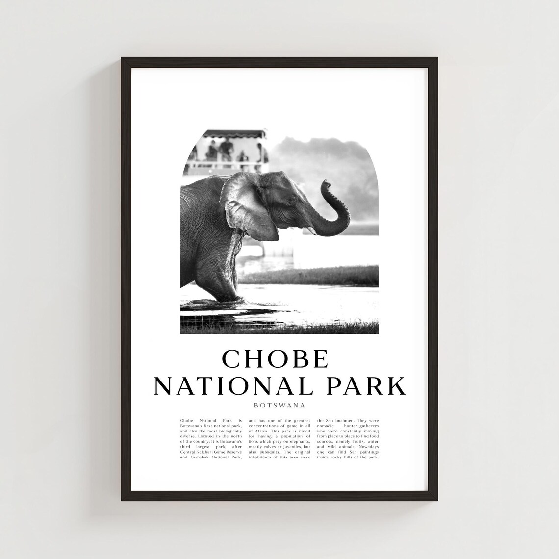 Chobe National Park Botswana Elephant Black White Arch Photo Poster