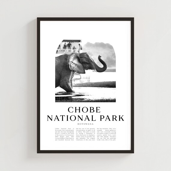 Chobe National Park Botswana Elephant Black White Arch Photo Poster