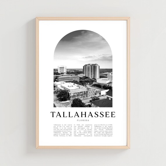 Tallahassee Florida Capital Downtown Skyline Black and White Poster